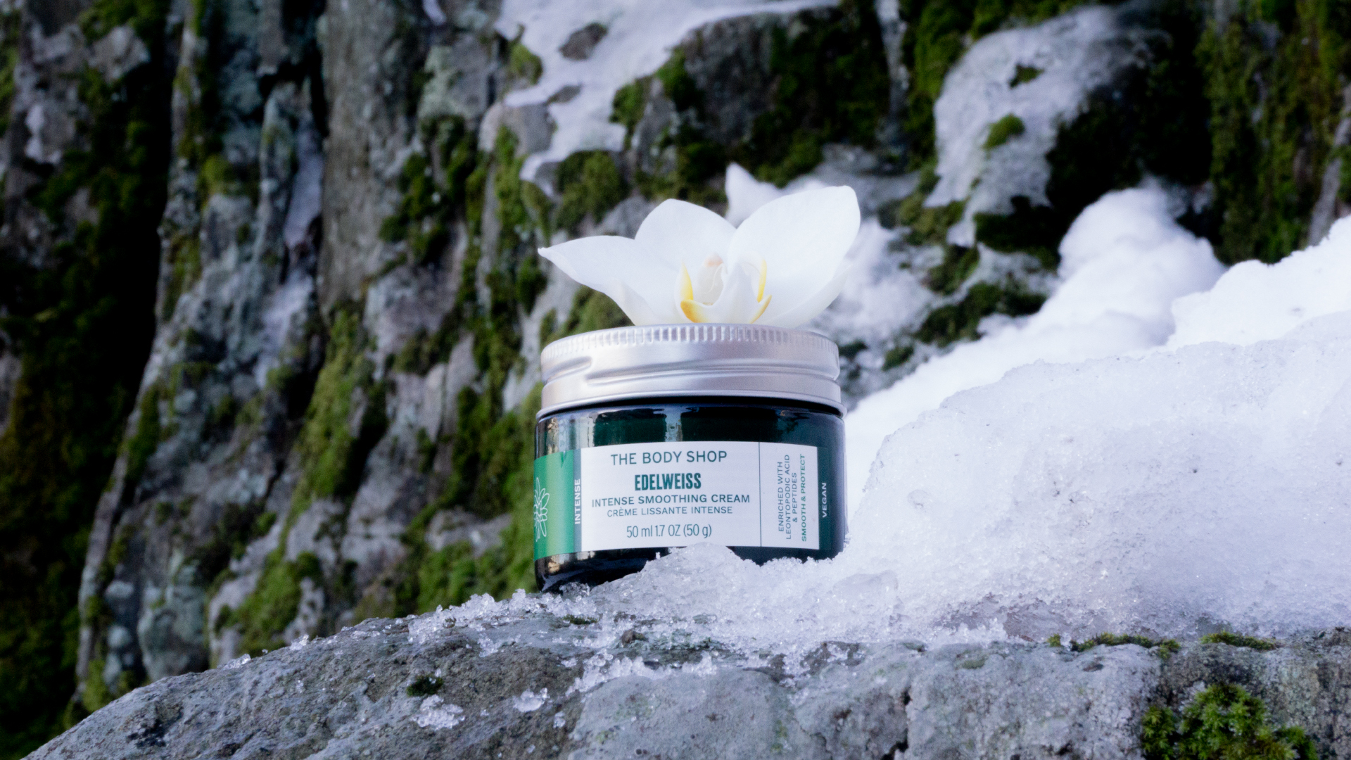A horisontal wide photo of Edelweiss facial cream from The Body Shop. It is the size of a web banner. The cream jar is green and white with a metal lid. On top of the lid is a white orchid. Surrounding the jar is white snow, ice, grey rock that takes up the background and green moss that grows on the rock.