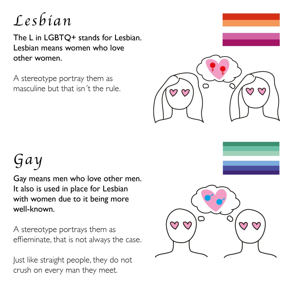 Brochure second page with information about Lesbians and Gays.